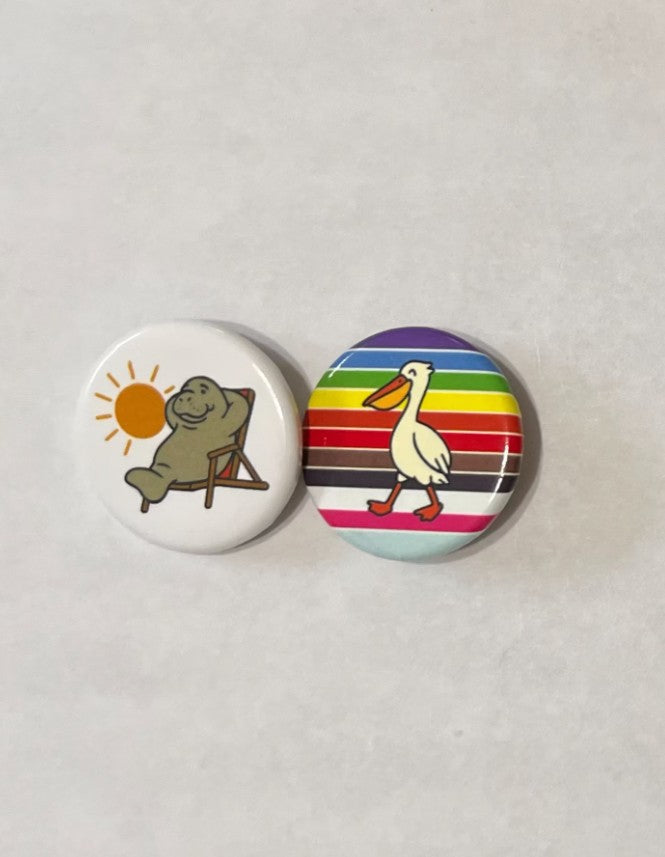 Sunny St. Pete Pin